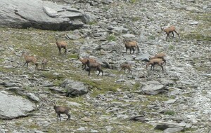 Hors sentier !