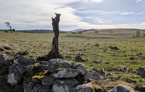 Les plateaux trizacois