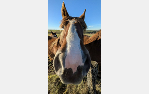 Sous le soleil, exactement !