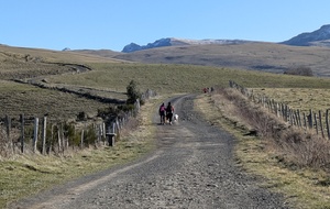 Dernière sortie de l'année