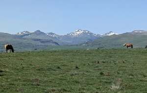 Pays de la Gazelle et du Jolan
