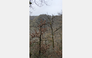 Rando sur les chemins historiques