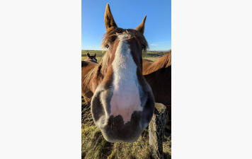 Sous le soleil, exactement !