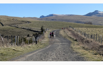Dernière sortie de l'année