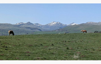 Pays de la Gazelle et du Jolan