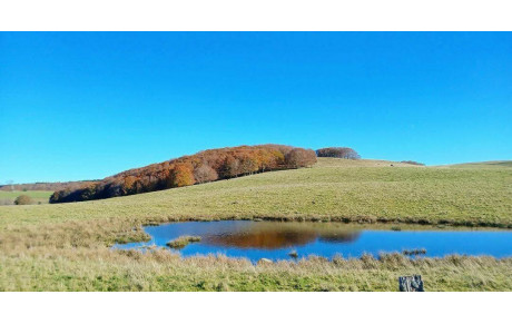 Les plateaux de Trizac