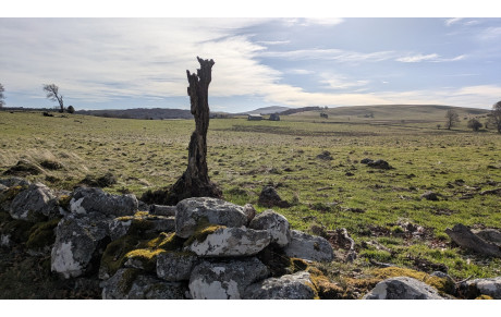 Les plateaux trizacois