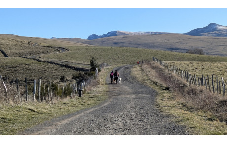 Dernière sortie de l'année