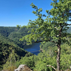 Rando à Auriac